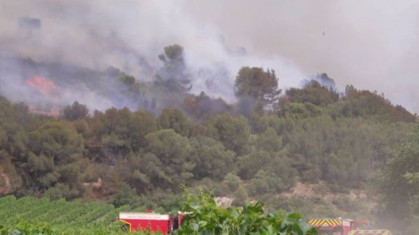 Incendies dans l'Aude : le transporteur du brasero suspecté d'être à l'origine du sinistre placé en garde à vue