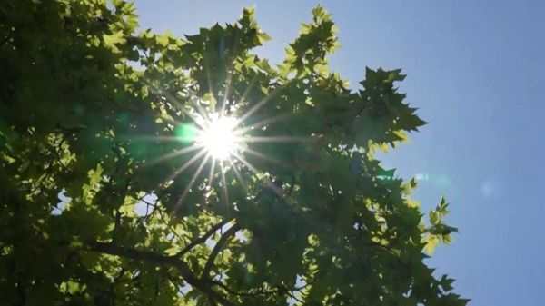 Canicule : avec plus de 40 degrés en Indre-et-Loire, les habitants s'adaptent
