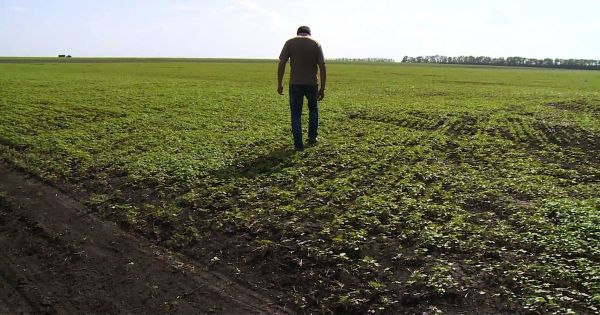 UE - Ukraine : un nouvel accord sur l'importation de produits agricoles