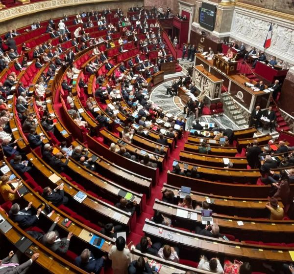 Pesticides, élevage et eau: les points-clé de la proposition de loi Duplomb