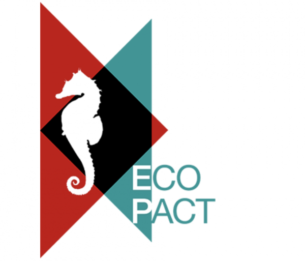 EcoPACT mise sur la création artistique pour protéger le lac de Bizerte