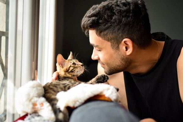 Un parasite transmis par le chat contribuerait à l'infertilité masculine