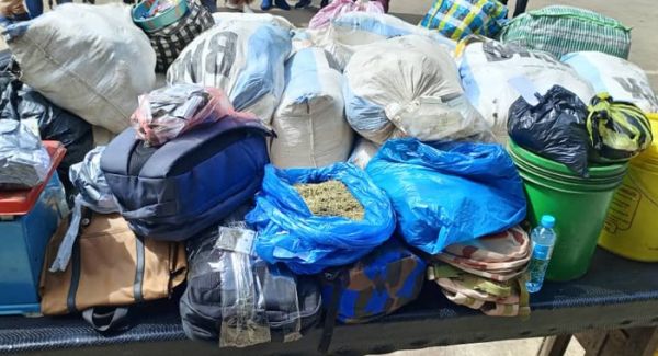 Conakry : saisie record de 773 kg de chanvre indien, 16,53 kg de Kush et interpellation de 17 personnes, dont 8 femmes