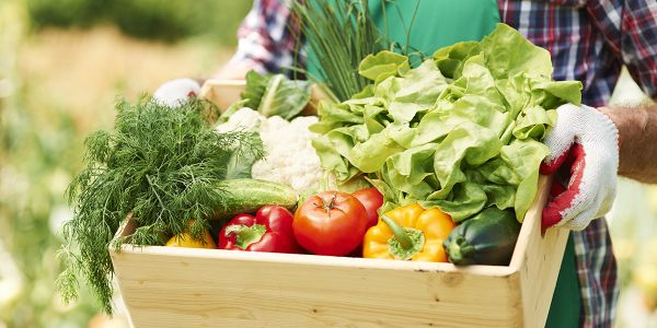 5 précautions à prendre au jardin avant de partir en vacances