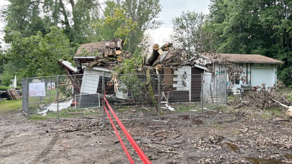 Maison détruite par un immense arbre dans les Laurentides: voici les erreurs commises par l'entreprise d'émondage