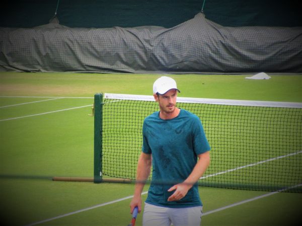 Andy Murray statufié à Wimbledon