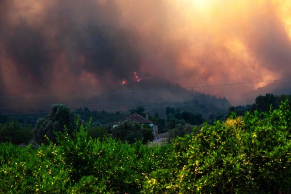Incendies en Turquie : plus de 50 000 personnes évacuées