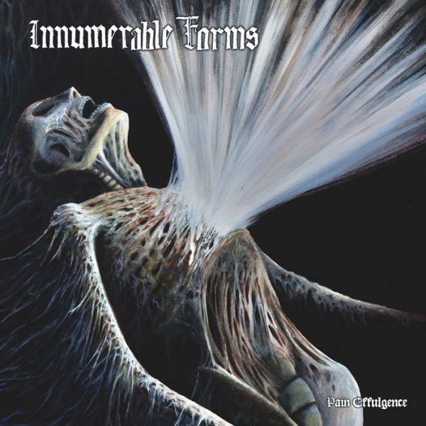 Innumerable Forms