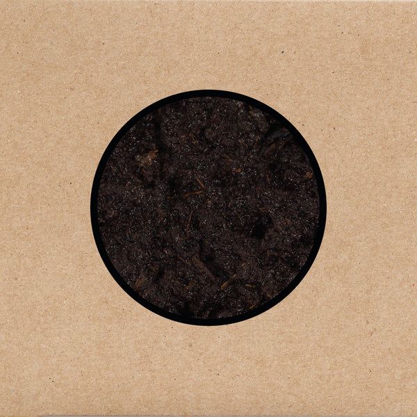 SWANS – BIRTHING (YOUNG GOD RECORDS)