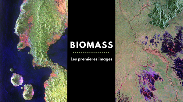 Le satellite Biomass dévoile ses premières images des forêts de la planète
