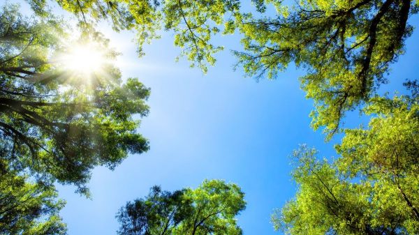Canicule en Occitanie : jusqu’à 41°C attendus dans certains secteurs (les conseils pour se protéger)