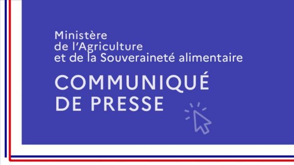 Un foyer de dermatose nodulaire confirmé dans un élevage bovin en Savoie
