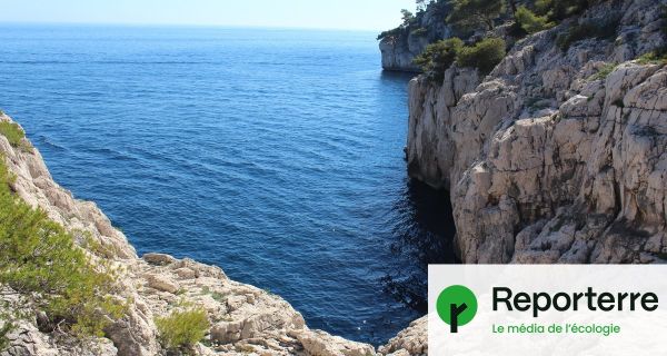 En Méditerranée, l'eau est 5 °C plus chaude que la normale