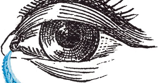 Des usages de la compassion