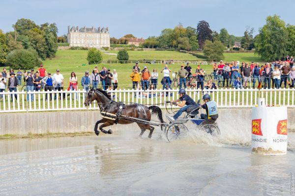 Attelage : Rendez-vous au Haras du Pin pour un CAI 3* en vue des Mondiaux