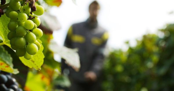 "Un état de délabrement, de vétusté, d'insalubrité" : nouveau procès en Champagne pour hébergement indigne