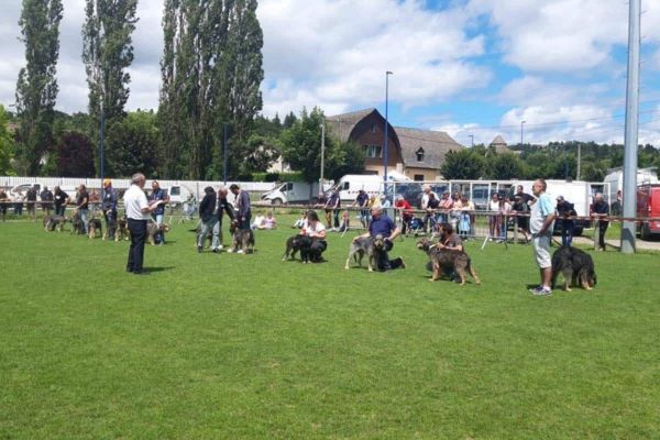 Lozère: Gabalitana revient ce weekend pour un salon 100% chasse, pêche et nature !