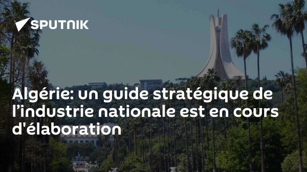 Algérie: un guide stratégique de l'industrie nationale est en cours d'élaboration