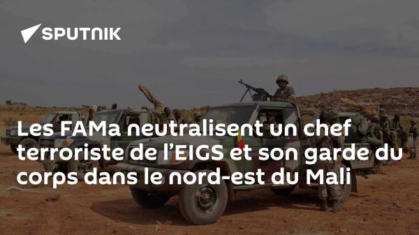 Les FAMa neutralisent un chef terroriste de l'EIGS et son garde du corps dans le nord-est du Mali
