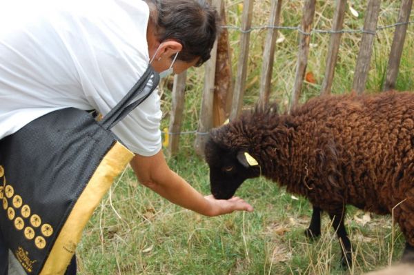 Soigneur d'un jour : une activité insolite à Paris mais à la ferme !