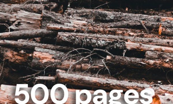 Gorafi Magazine : 500 pages pour comprendre la déforestation