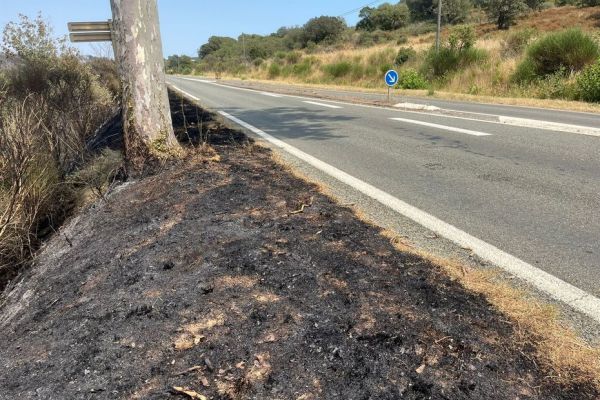 L'incendie près de Narbonne est sous contrôle, malgré "quelques reprises" du feu dans l'après-midi