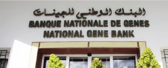 Nomination de Mohamed Ali Ben Tmessek à la tête de la Banque nationale des gènes