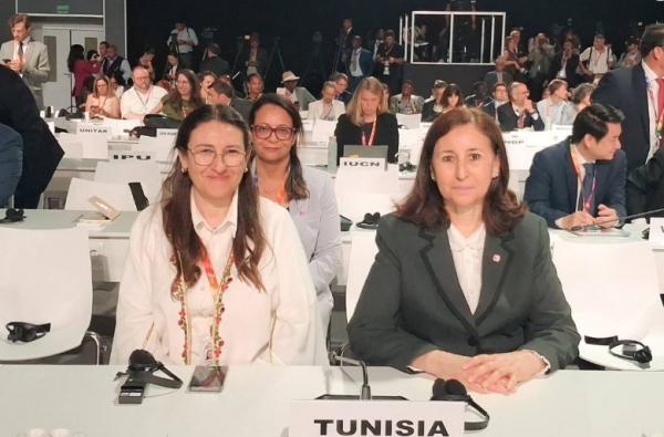 Tunisie-BERD : renforcer entreprises et institutions