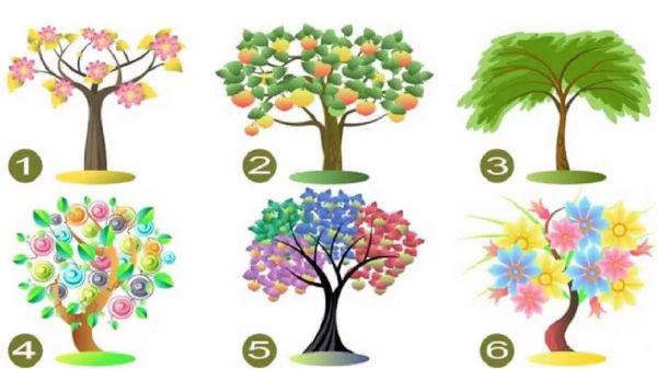 L'arbre qui vous attire révèle un trait fort de votre personnalité