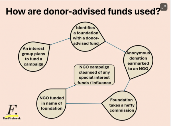 Fonds à vocation arrêtée par les donateurs : comment les groupes d'intérêts particuliers utilisent les fondations pour transférer de l'argent sale