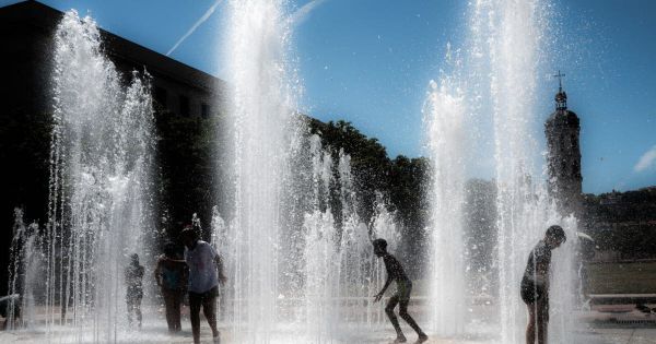 Décryptage. Canicule : espace public, agriculture, travail... Comment s'adapter face au mercure qui monte ?