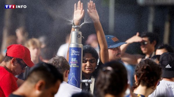 EN DIRECT - Canicule : le "paroxysme" de l'épisode de chaleur attendu, 16 départements en vigilance rouge | TF1 INFO