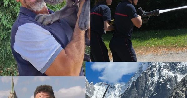 Jeux. Pompiers, chiens, jeu télé... Avez-vous bien suivi l'actualité de juin en Bresse ? Place au quiz
