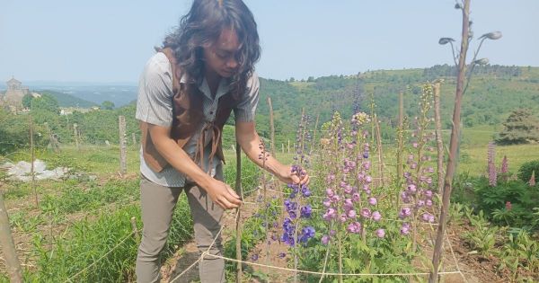 Haute-Loire. « Ce sont mes fleurs qui m'ont fait sortir de l'hôpital » : passionné, il lance sa ferme florale