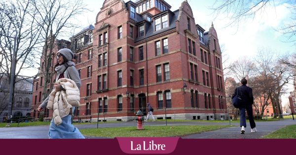 La descente aux enfers de l'une des enseignantes les mieux payées de Harvard : "Peut-être que j'étais naïve"
