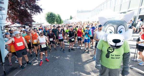 Photos. Un loup qui fait sa trace, une histoire de frites, des athlètes sous une chape de plomb, ce sont les images insolites du week-end sportif dans les Vosges