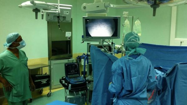 AVC, cardiopathie ischémique : à La Réunion, des taux de mortalité supérieurs au niveau national
