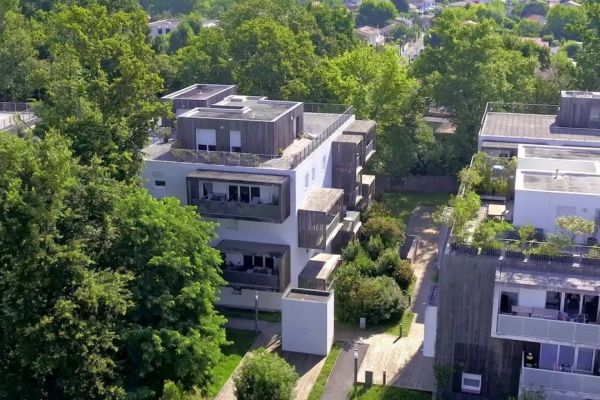 Canicule urbaine : remplacer le béton par les arbres dans les métropoles