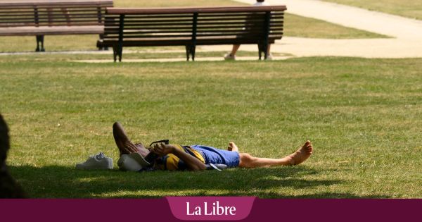 Canicule en Belgique : des températures jusqu'à 38°C attendues ce mardi