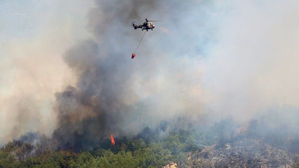 La Turquie lutte contre les incendies de forêt alors qu'une vague de chaleur frappe l'Europe