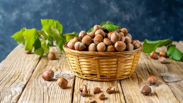 Les noisettes font-elles grossir ? Ce qu'il faut vraiment savoir