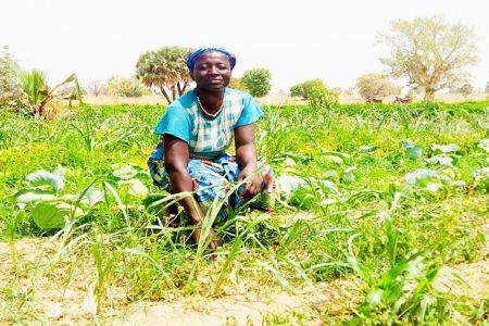 Mauritanie : la BAD mise sur les PME pour stimuler emploi et formation pro