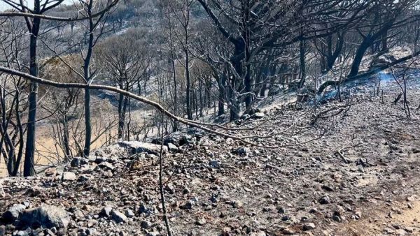 Incendies provoqués par un braséro dans l'Aude : la situation a évolué favorablement, 140 pompiers ont passé la nuit sur le site