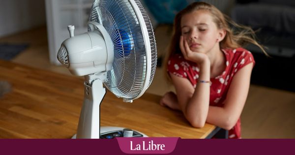 Hydratation, alimentation, hygiène, sommeil : les fausses bonnes idées en cas de fortes chaleurs