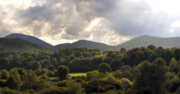 Eau minérale : en quoi consiste la campagne d'inspection «approfondie» prévue par le ministère de la Santé ?