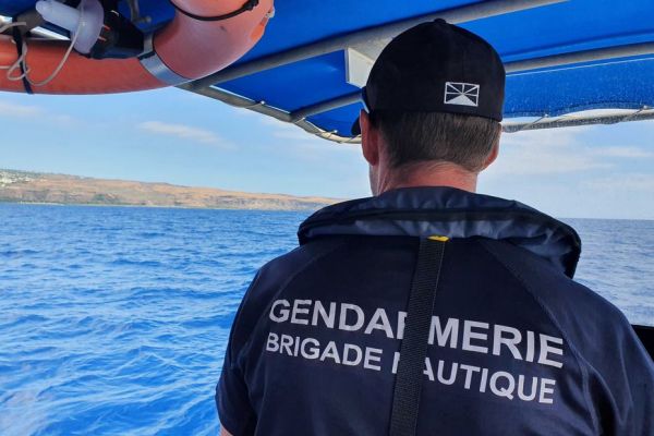 Saison des baleines à La Réunion : les nouvelles règles d'approche entrent en vigueur