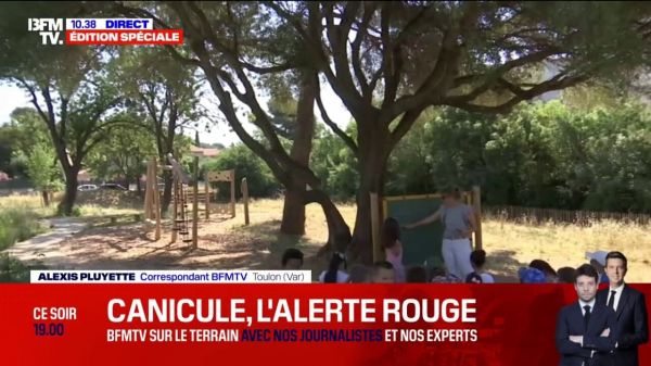 Canicule: à Toulon dans le Var, une classe de CP a été délocalisée dans le parc de l'école