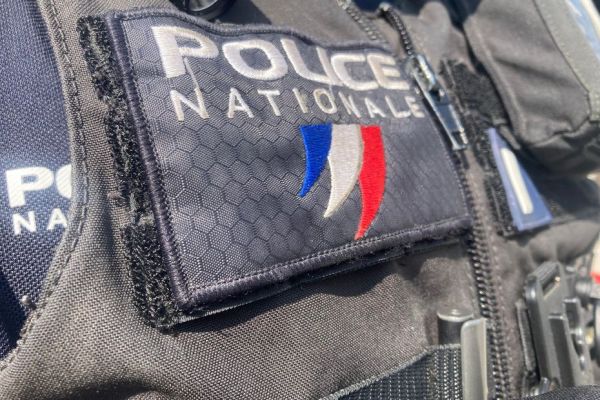 Ivre, il étrangle et frappe son chien à coups de pied et de poing, un homme de 38 ans interdit de détenir un animal pendant 10 ans