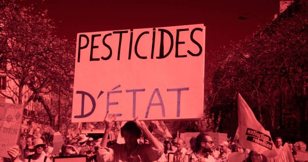 La loi sur «le métier d'agriculteur» va réintroduire un néonicotinoïde qui inquiète les scientifiques : «C'est réautoriser les revolvers tout en interdisant les pistolets»