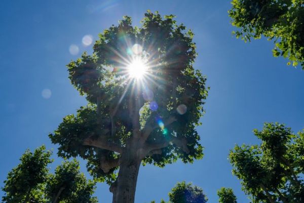 La Haute-Corse toujours en vigilance orange "canicule" ce mardi, la Corse-du-Sud en alerte jaune